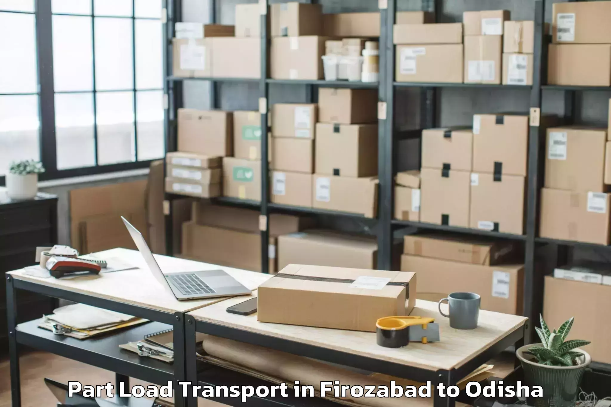 Professional Firozabad to Xim University Harirajpur Part Load Transport